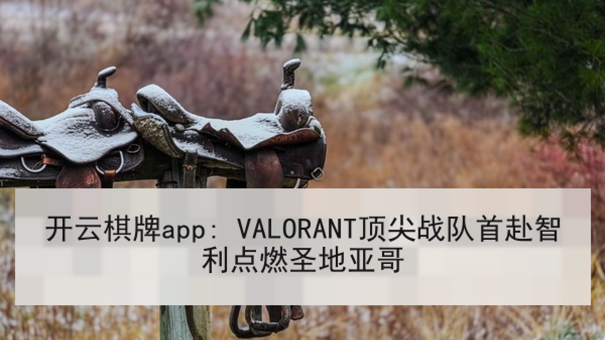 开云棋牌app: VALORANT顶尖战队首赴智利点燃圣地亚哥