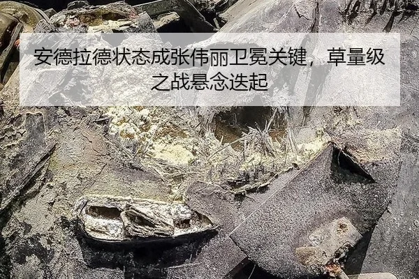 an-de-la-de-zhuang-tai-cheng-zhang-wei-li-wei-mian-guan-jian-cao-liang-ji-zhi-zhan-xuan-nian-die-qi-2-355.jpg