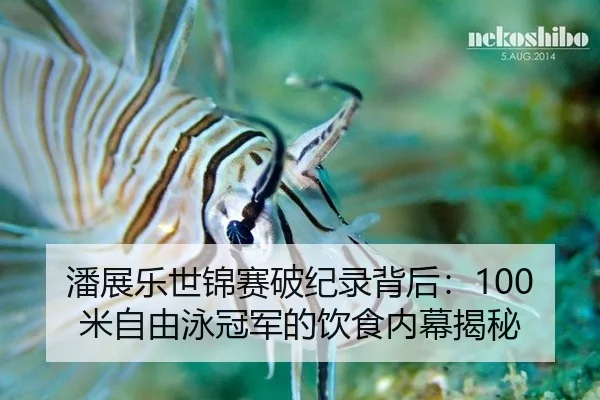 pan-zhan-le-shi-jin-sai-po-ji-lu-bei-hou-mi-zi-you-yong-guan-jun-de-yin-shi-nei-mu-jie-mi-3-128.jpg