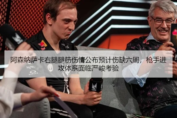 a-sen-na-sa-ka-you-tui-tui-jin-shang-qing-gong-bu-yu-ji-shang-que-liu-zhou-qiang-shou-jin-gong-ti-xi-mian-lin-yan-jun-2-312.jpg